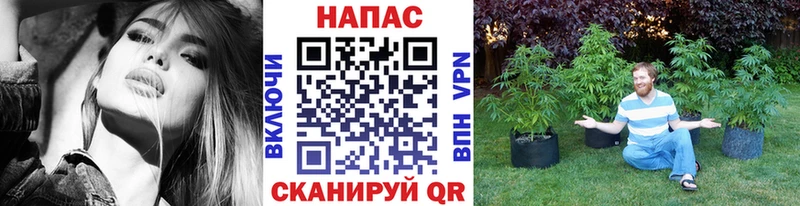 Купить закладку Александров ГАШИШ  МАРИХУАНА  АМФ  МЕФ  КОКАИН 