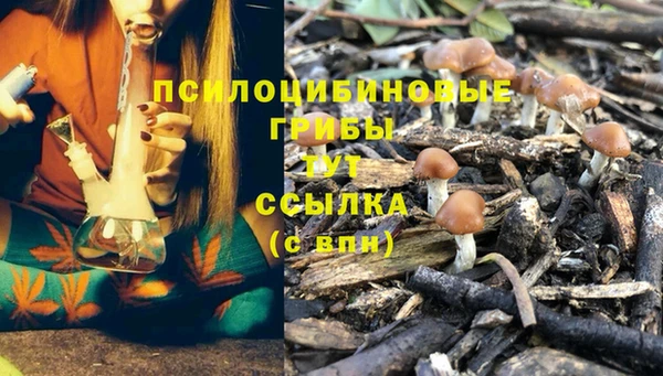 спайс Надым