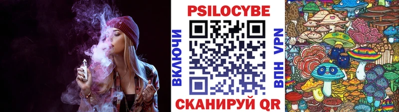 цена   Александров  Галлюциногенные грибы GOLDEN TEACHER 