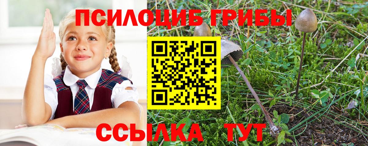 Галлюциногенные грибы мухоморы Александров