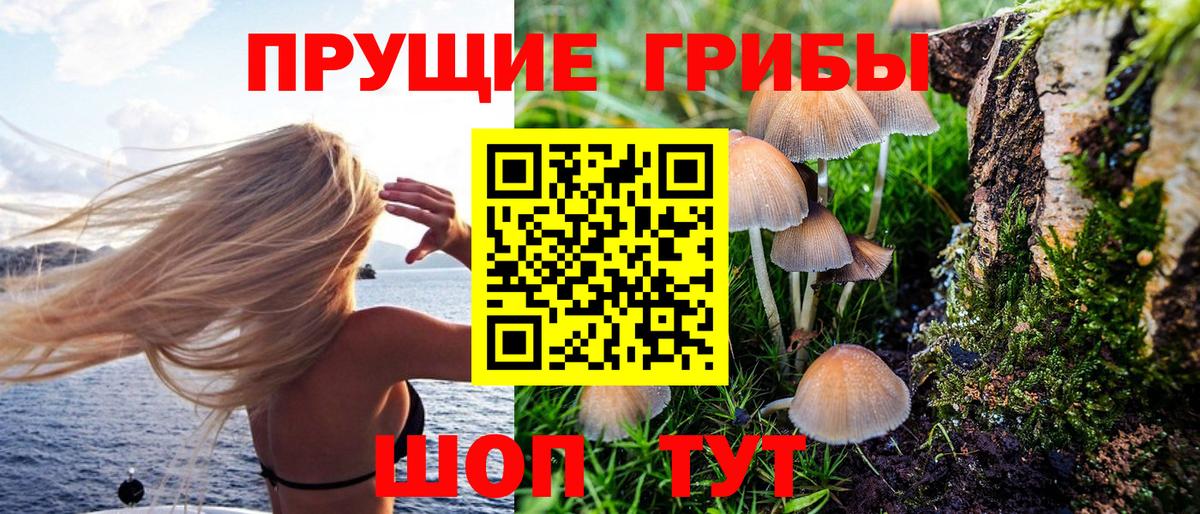 Галлюциногенные грибы Magic Shrooms Александров