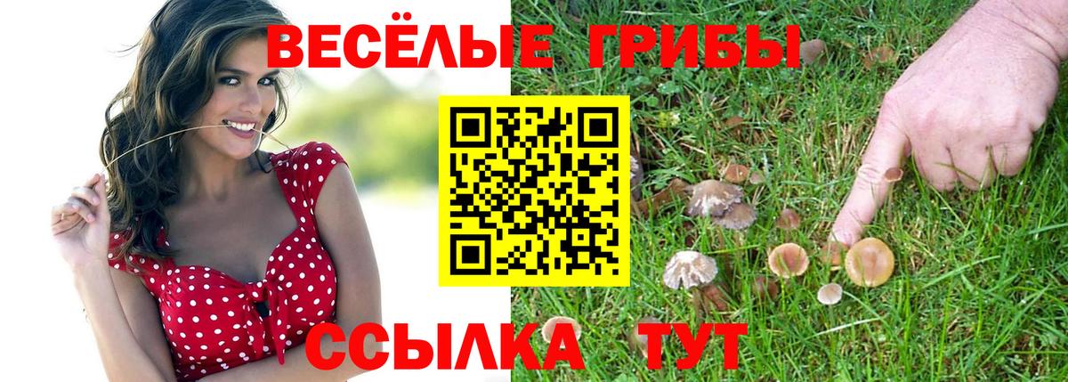 Александров  Галлюциногенные грибы прущие грибы  Галлюциногенные грибы прущие грибы  Вход с VPN 