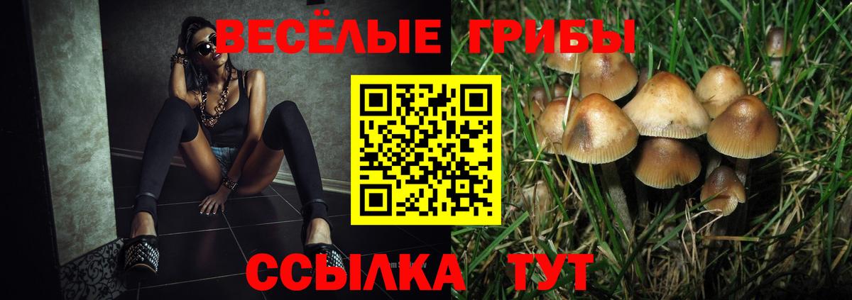 Псилоцибиновые грибы Cubensis  Александров  Псилоцибиновые грибы Cubensis 